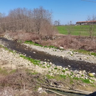 Regione Piemonte, via alla ricognizione dei danni della siccità 2023 - Foto archivio newsbiella.it