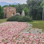 Infiorata dell’area monumentale di “Nuraghe Chervu” e pietra di Bordolano inserita nel selciato di memoria