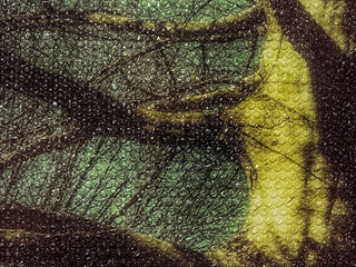 Il fotografo biellese Stefano Ceretti porta il suo progetto #DEPTH a Paratissima 2025 Il fotografo biellese Stefano Ceretti porta il suo progetto #DEPTH a Paratissima 2025