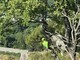 Bloccati sulla ferrata della Falconera, soccorsi due escursionisti nella vicina Valsesia Bloccati sulla ferrata della Falconera, soccorsi due escursionisti nella vicina Valsesia