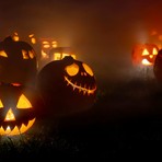 Festa di Halloween anche a Pralungo tra brividi e misteri (foto di repertorio) Festa di Halloween anche a Pralungo tra brividi e misteri (foto di repertorio)