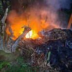 Biella, sterpaglie a fuoco: scatta l’allarme in serata al Vandorno Biella, sterpaglie a fuoco: scatta l’allarme in serata al Vandorno