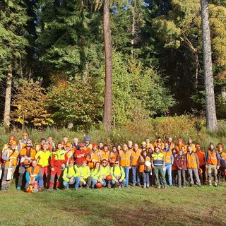 Settimana europea per la sicurezza sul lavoro: Piemonte in prima linea nella prevenzione degli incidenti forestali Settimana europea per la sicurezza sul lavoro: Piemonte in prima linea nella prevenzione degli incidenti forestali