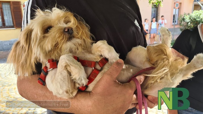 Sala Biellese aderisce al progetto "Punto Animal Friendly" di Legami di Cuore