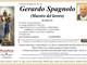 Gerardo Spagnolo (Maestro del Lavoro)