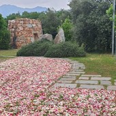 Infiorata dell’area monumentale di “Nuraghe Chervu” e pietra di Bordolano inserita nel selciato di memoria Infiorata dell’area monumentale di “Nuraghe Chervu” e pietra di Bordolano inserita nel selciato di memoria