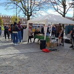 Biella, solidarietà a Giardini Zumaglini: in cammino per la prevenzione - Servizio di Mattia Baù Biella, solidarietà a Giardini Zumaglini: in cammino per la prevenzione - Servizio di Mattia Baù