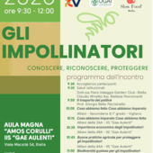 Biella, incontro con gli studenti per conoscere gli impollinatori Biella, incontro con gli studenti per conoscere gli impollinatori