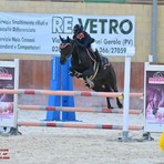 Equitazione, Il Rosignolo vince a Tortona: Ruffino e Casaliggi a Fieracavalli Verona Equitazione, Il Rosignolo vince a Tortona: Ruffino e Casaliggi a Fieracavalli Verona