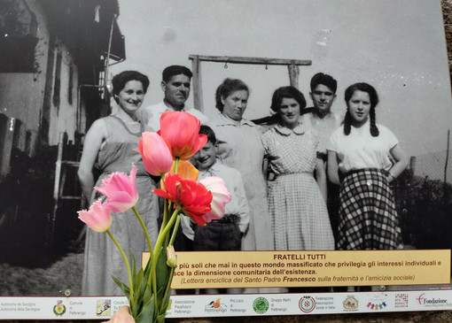 Gigantografia di migranti esposta sui muri demaniali di Pettinengo e tulipani coltivati dai richiedenti asilo dell’Associazione Pacefuturo, distribuiti da Piccola Fata in occasione del 25 aprile 2026 (foto M. Rebuffa).