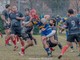 biella rugby