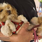 Sala Biellese aderisce al progetto "Punto Animal Friendly" di Legami di Cuore Sala Biellese aderisce al progetto "Punto Animal Friendly" di Legami di Cuore