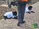 Lo studio del comportamento animale sbarca a Torino: al Lingotto il congresso mondiale ISBE 2026 Lo studio del comportamento animale sbarca a Torino: al Lingotto il congresso mondiale ISBE 2026