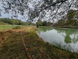 Sala, al via la riqualificazione del Laghetto Lissello: 120 mila euro per un'area più inclusiva e accessibile Sala, al via la riqualificazione del Laghetto Lissello: 120 mila euro per un'area più inclusiva e accessibile