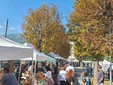 24ª Sagra del Macagn: Crocemosso saluta l’estate con due giorni di tradizione, gusto e comunità 24ª Sagra del Macagn: Crocemosso saluta l’estate con due giorni di tradizione, gusto e comunità