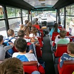 Insulti e bullismo sullo scuolabus, a Quaregna Cerreto il sindaco sale come sentinella: "Tolleranza zero" Insulti e bullismo sullo scuolabus, a Quaregna Cerreto il sindaco sale come sentinella: "Tolleranza zero"
