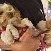 Sala Biellese aderisce al progetto "Punto Animal Friendly" di Legami di Cuore