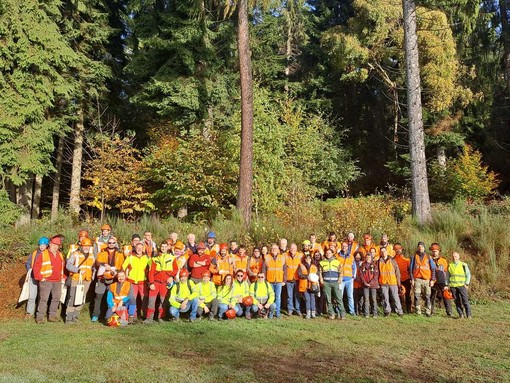 Settimana europea per la sicurezza sul lavoro: Piemonte in prima linea nella prevenzione degli incidenti forestali
