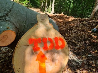 Trail della Diga, domenica 10 maggio la sfida tra sentieri e natura: oltre 250 iscritti