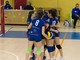teamvolley