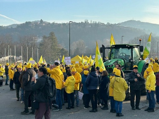 Un fiume giallo invade Torino: migliaia di agricoltori chiedono al Piemonte di “darsi un andi”