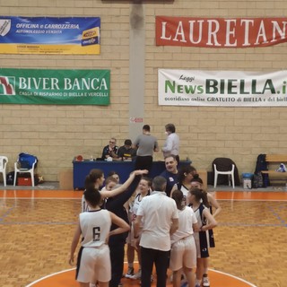 basket basket