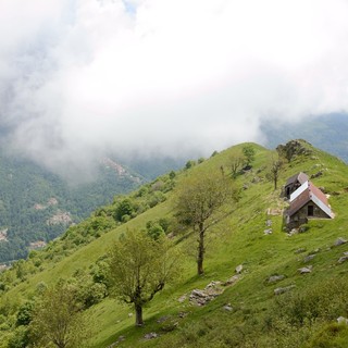 rampia campel