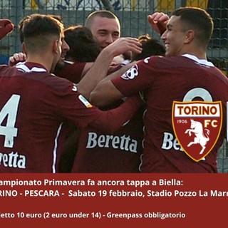 torino pozzo torino pozzo