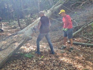 Trail della Diga, domenica 10 maggio la sfida tra sentieri e natura: oltre 250 iscritti