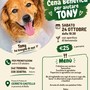 Una cena benefica a Cerreto Castello per aiutare Tony Una cena benefica a Cerreto Castello per aiutare Tony