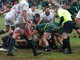 biella rugby