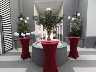 Oggi a Biella “Crematori Aperti” FOTO Riccardo Tosi per newsbiella.it Oggi a Biella “Crematori Aperti” FOTO Riccardo Tosi per newsbiella.it