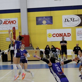 teamvolley gara