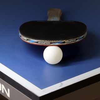 Tennis Tavolo, a Cossato Gran Prix Regionale Giovanile - Foto archivio newsbiella.it