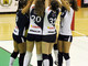 Volley D femminile - Botalla Formaggi Teamvolley continua l'inseguimento Volley D femminile - Botalla Formaggi Teamvolley continua l'inseguimento