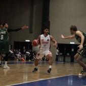 basket biella basket biella