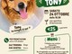 Una cena benefica a Cerreto Castello per aiutare Tony