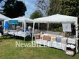 A Pettinengo l'arte della tosatura delle pecore a “(T)essere Insieme 2026” FOTO e VIDEO Massimo Giacobbe per newsbiella.it