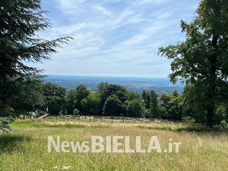 A Pettinengo l'arte della tosatura delle pecore a “(T)essere Insieme 2026” FOTO e VIDEO Massimo Giacobbe per newsbiella.it