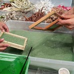 Trame di carta e acqua protagoniste a Biella