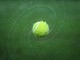 Come e dove nasce lo sport del tennis? Come e dove nasce lo sport del tennis?
