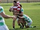 biella rugby
