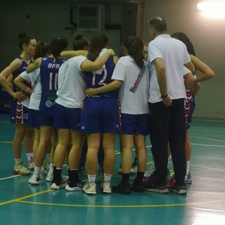 bfb basket bfb basket