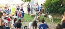 A Pettinengo l'arte della tosatura delle pecore a “(T)essere Insieme 2026” FOTO e VIDEO Massimo Giacobbe per newsbiella.it