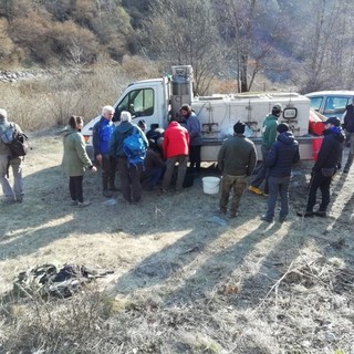 Riapre la riserva di pesca in Alta Valle Cervo, seminati avannotti e trote