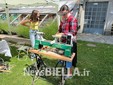 A Pettinengo l'arte della tosatura delle pecore a “(T)essere Insieme 2026” FOTO e VIDEO Massimo Giacobbe per newsbiella.it