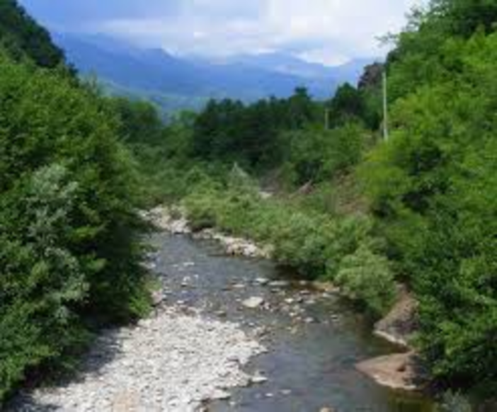 Lessona, interventi sul torrente Strona: approvato il progetto per la manutenzione della vegetazione