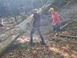 Trail della Diga, domenica 10 maggio la sfida tra sentieri e natura: oltre 250 iscritti