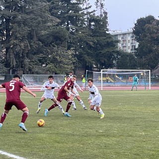 torino genoa
