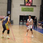 basket biella basket biella